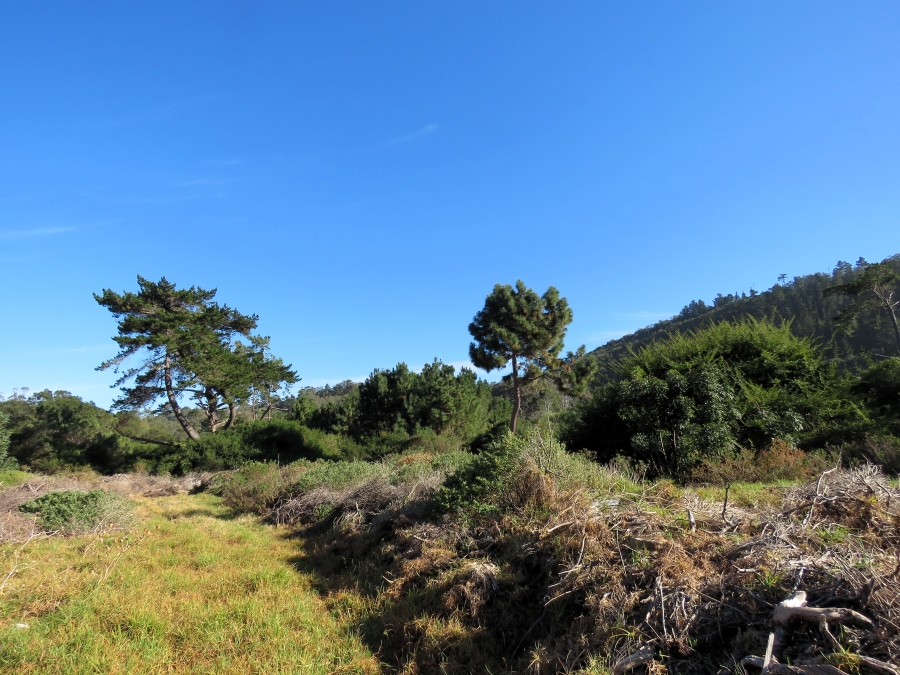 0 Bedroom Property for Sale in Keurbooms Western Cape